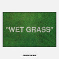 Wet Grass